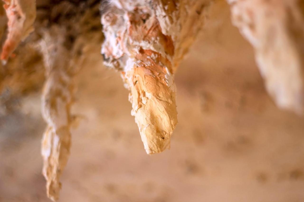 La Grotte Insolite Sarlat Apartment ภายนอก รูปภาพ